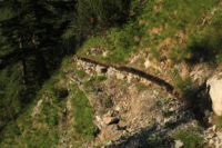 2015-07-01_2Drijaggenalm (202).JPG